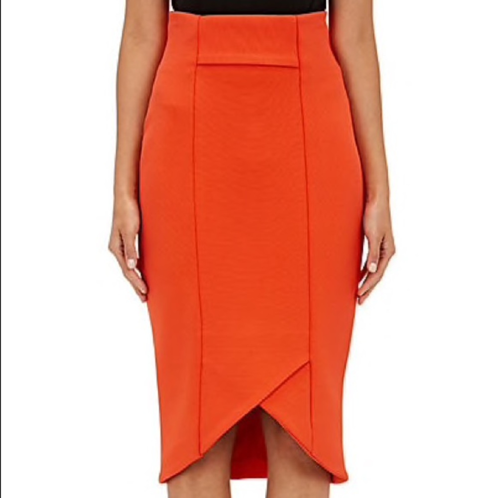 NWOT Nicholas skirt
